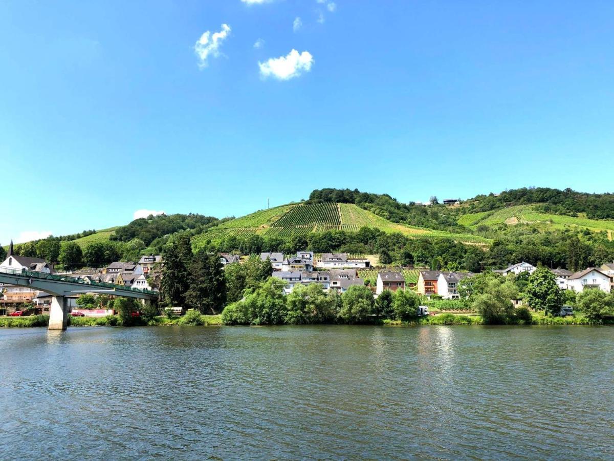 Ferienhaus Am Moselradweg Целль-ан-дер-Мозель Экстерьер фото